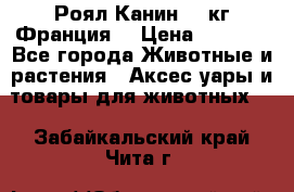  Роял Канин 20 кг Франция! › Цена ­ 3 520 - Все города Животные и растения » Аксесcуары и товары для животных   . Забайкальский край,Чита г.